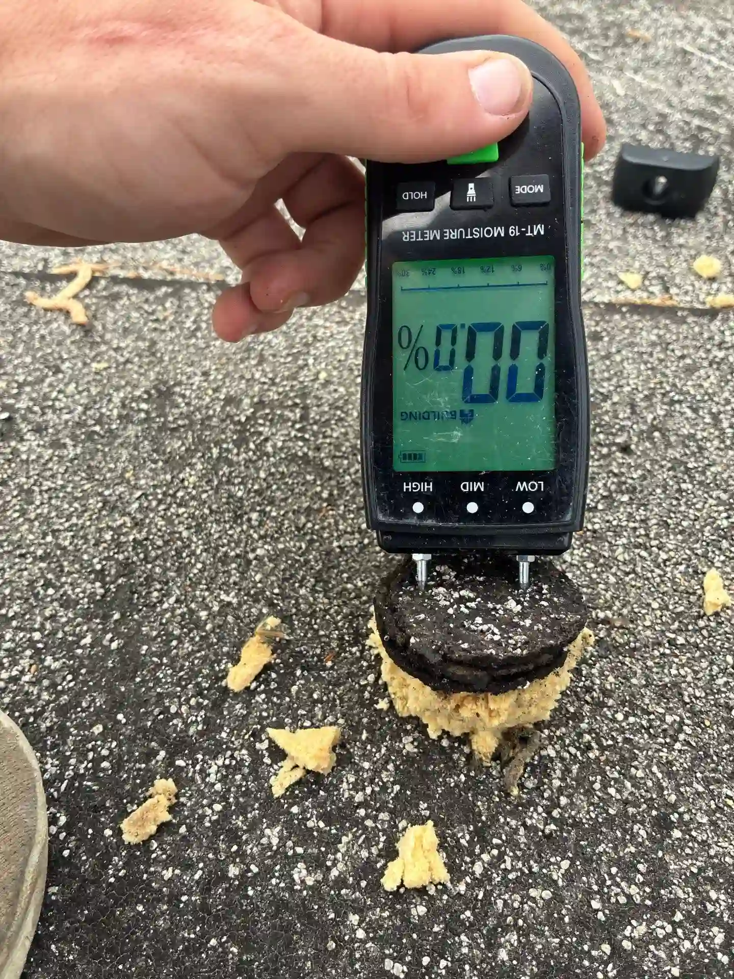 A hand holds a moisture meter pressed into a broken Oreo cookie with cream filling on an asphalt surface; the device screen displays a moisture reading of 00%.