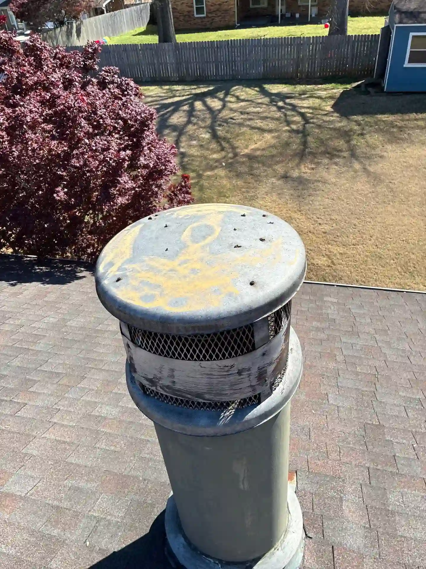 A metal chimney cap with rust and yellow graffiti sits on a shingled roof, with a yard, a tree with red leaves, and a blue shed visible in the background.
