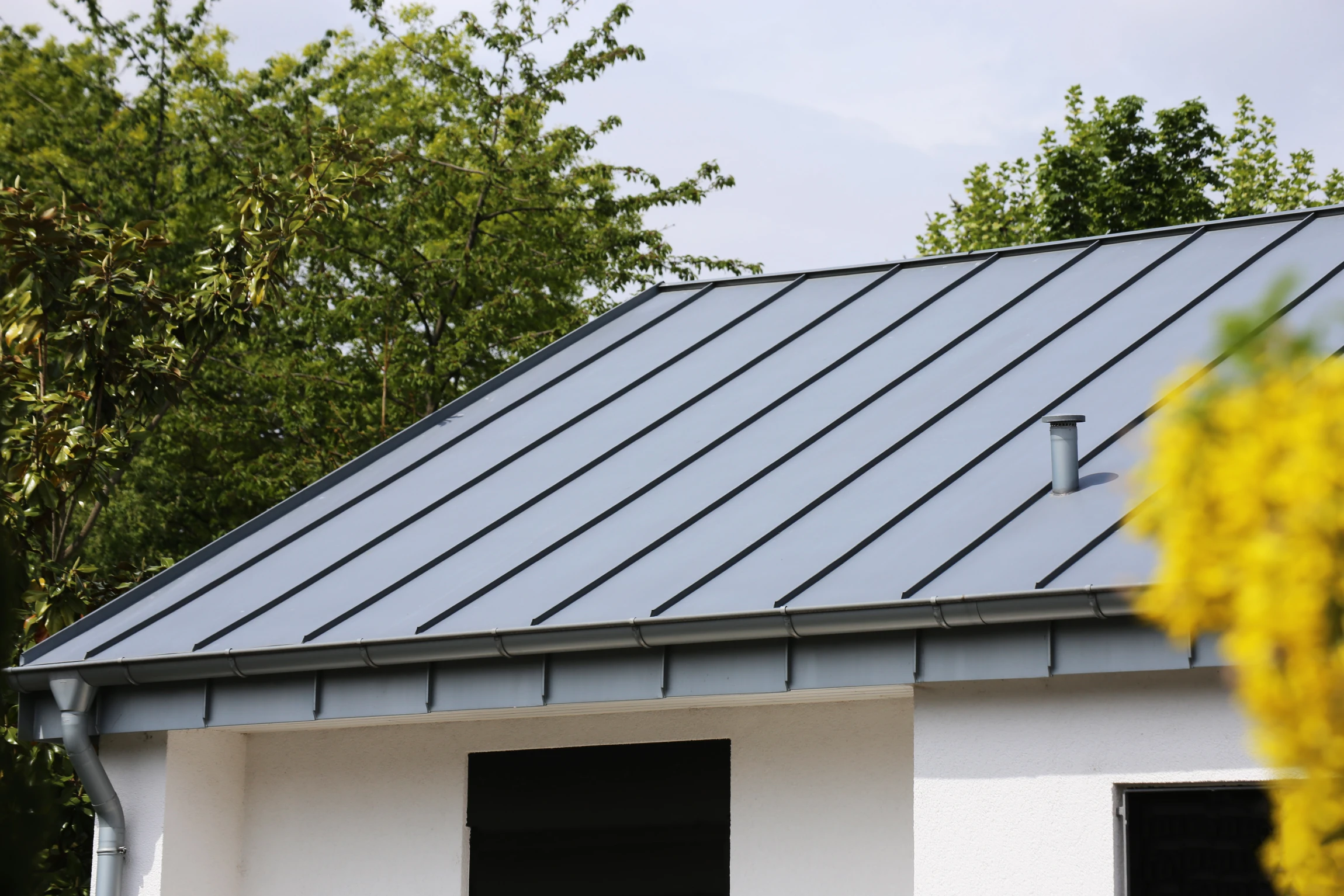 Modern house with a light gray metal roof featuring standing seams, white walls, and surrounded by green trees on a clear day.